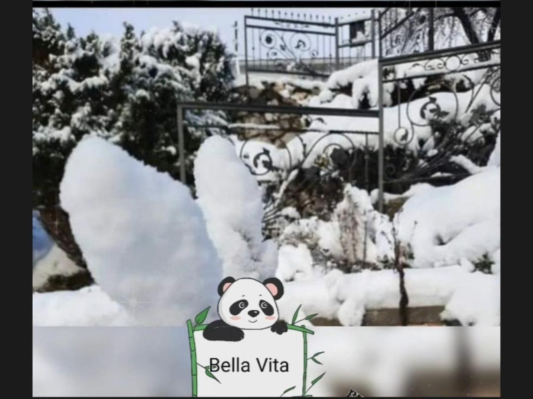 Apartman Bella Vita Kolašin Zimmer foto
